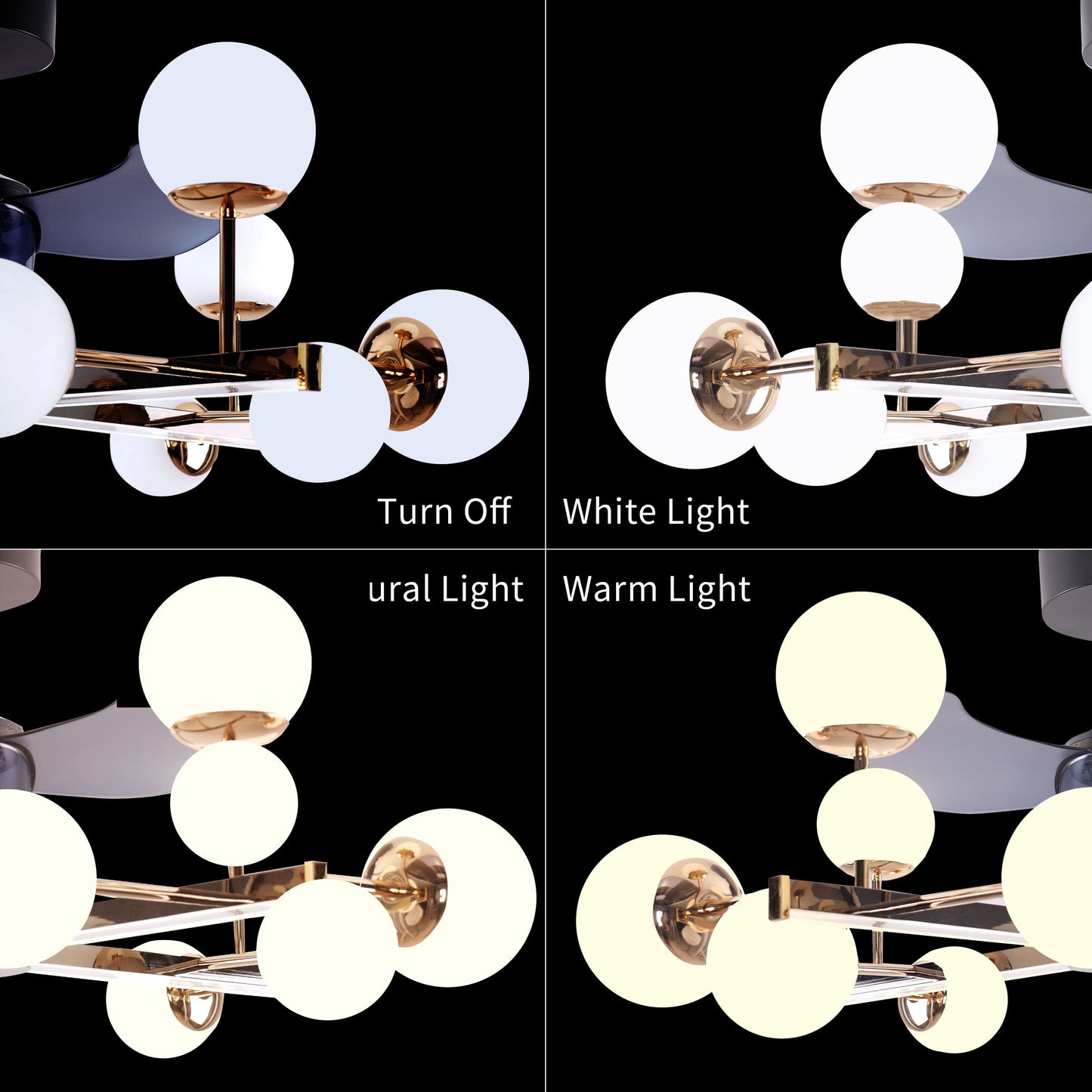 Modern Sphere 3-Blade Fan Light with Black & Gold Finish